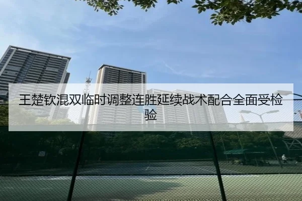 王楚钦混双临时调整连胜延续战术配合全面受检验