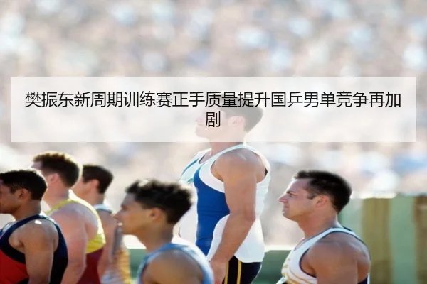 樊振东新周期训练赛正手质量提升国乒男单竞争再加剧