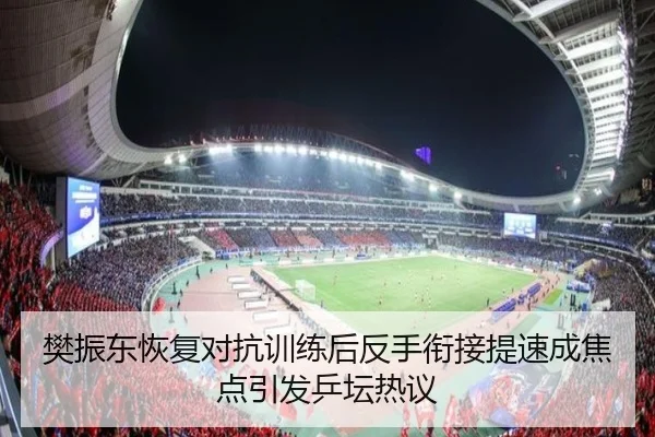 樊振东恢复对抗训练后反手衔接提速成焦点引发乒坛热议